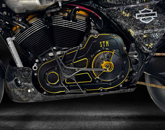 HARLEY DAVIDSON - HD GRAND AMERICAN TOURING
CRUISER
TRIKE - - - - STM Dry Clutch Conversion Kit