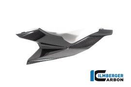 BMW S1000XR (2024-2026) Ilmberger Gloss Carbon Seat Side Panel (left Side)