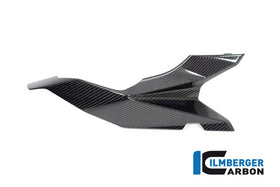 BMW M1000XR (2024-2026) Ilmberger Gloss Carbon Seat Side Panel (right Side)