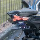 Kawasaki Z1000 Flip N Dip-3