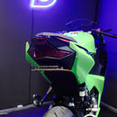 Kawasaki Ninja 250 Flip N Dip-3