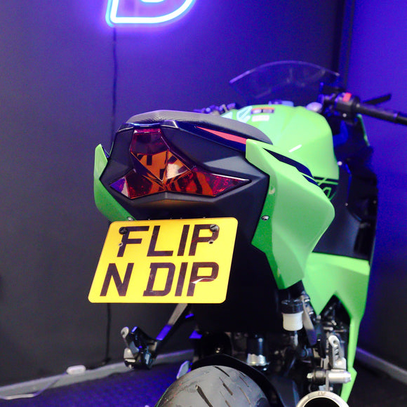 Kawasaki Ninja 250 Flip N Dip