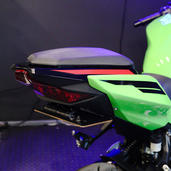 Kawasaki Ninja 250 Flip N Dip