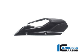 DUCATI Multistrada V4 / S / Sport / Pikes Peak / RS (2021-2024) Ilmberger Carbon Swingarm Chainguard - Matt Finish - (Does not fit the Pikes Peak or RS model)