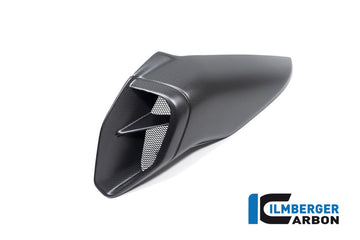 DUCATI Diavel V4 / RS (2023-2026) Ilmberger Carbon LH Air Tube Cover (Matt Finish)