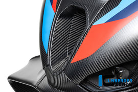 BMW M1000RR (2025-2026) Ilmberger Matt Carbon Airchannel