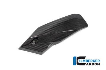 BMW S1000R Naked (2025-2026) Ilmberger Gloss Carbon Bellypan Left Hand Side Cover