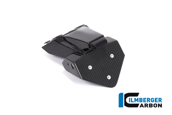 BMW S1000RR (2019-2022) Ilmberger Gloss Carbon Number Plate Holder