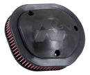 Indian Roadmaster 2015 - 2026 K&N Performance Air Filter