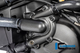 DUCATI Monster 1200 / S (2017-2021) Ilmberger Carbon Waterpump Guard - Matt Finish