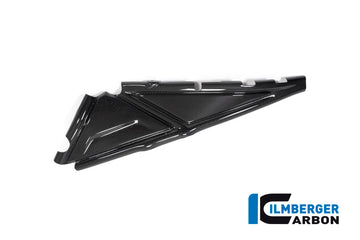 BMW R1250GS (2019-2023) Ilmberger Carbon Subframe Cover (Left)