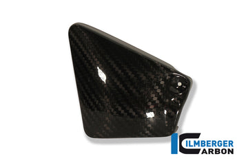 HARLEY-DAVIDSON VRSC-R Street Rod (1130cc) (2006-2008) Ilmberger Carbon Upper Front Frame Cover (Right)