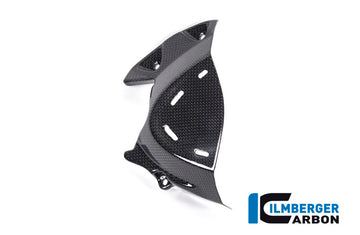 DUCATI Monster 1200 / S (2017-2021) Ilmberger Carbon Front Sprocket Cover - Gloss Finish