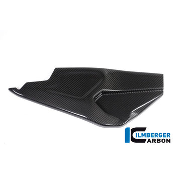 BMW S1000RR HP-4 Race (2017-2018) Ilmberger Carbon Swing Arm Cover Right