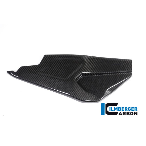 BMW S1000RR HP-4 Race (2017-2018) Ilmberger Carbon Swing Arm Cover Right