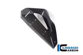 BMW M1000XR (2024-2026) Ilmberger Gloss Carbon Radiator Cover With Winglet Mount Points (left side)
