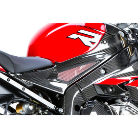 BMW S1000R Naked (2014-2016) Ilmberger Carbon Tank Side Panel (Right)