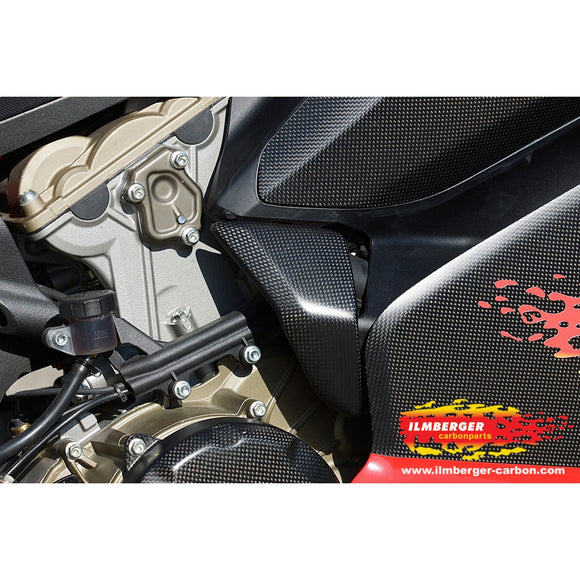 DUCATI 1199 Panigale (2012-2015) Ilmberger Carbon Sidefairing inlay right side