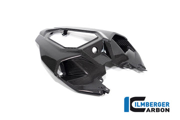 BMW S1000R Naked (2021-2024) Ilmberger Gloss Carbon Single Seat Unit Middle Part