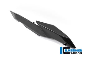 BMW R1250R (2019-2025) Ilmberger Carbon Seat Panel Right Side