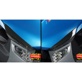 BMW C600 Sport (2012-2015) Ilmberger Carbon Crashpads front Set