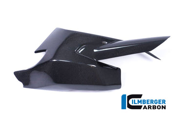 DUCATI Monster 1200 / S (2017-2021) Ilmberger Carbon Swingarm Cover Inc. Chain Guard - Gloss Finish