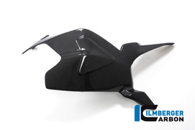 DUCATI Streetfighter V2 (2021-2024) Ilmberger Carbon Swingarm Cover (Gloss Finish)