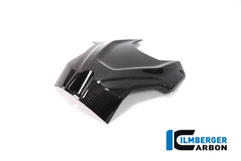 BMW S1000R Naked (2021-2024) Ilmberger Gloss Carbon Upper Tank Cover