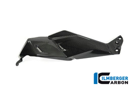 BMW R1250GS (2019-2023) Ilmberger Carbon Airvent Cover (Left)