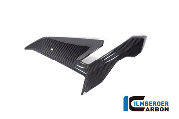 BMW S1000R Naked (2025-2026) Ilmberger Gloss Carbon LH Side Fairing