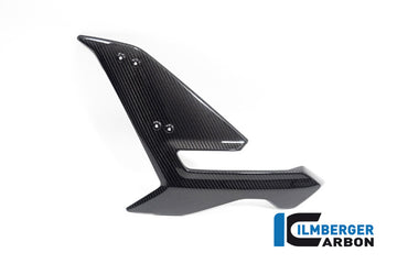 BMW S1000R Naked (2021-2024) Ilmberger Gloss Carbon Side Fairing Left Hand