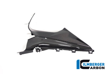 BMW S1000RR (2019-2022) Ilmberger Gloss Carbon LH Badge Holder