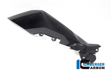 BMW S1000XR (2020-2023) Ilmberger Gloss Carbon Fairing Side Panel LH Side