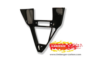 DUCATI 749 (2003-2003) Ilmberger Carbon V-Panel