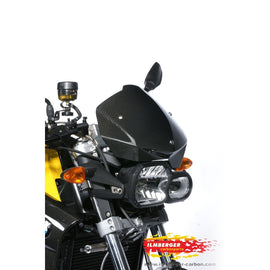 BMW F800R (2009-2014) Ilmberger Carbon Windshield