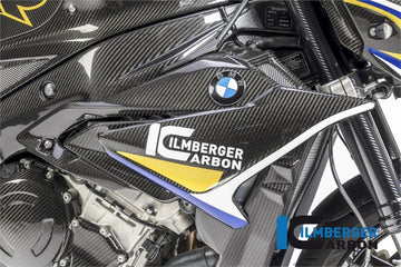 BMW S1000R Naked (2017-2020) Ilmberger Carbon Fairing Side Panel right side