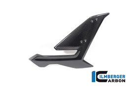 BMW S1000R Naked (2021-2024) Ilmberger Gloss Carbon Side Fairing Right Hand