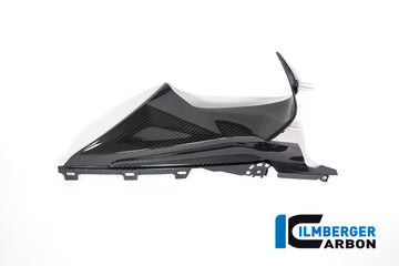 BMW S1000RR (2019-2022) Ilmberger Gloss Carbon RH Badge Holder
