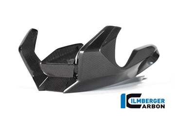 BMW R1250R (2019-2025) Ilmberger Carbon Bellypan