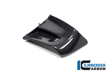 DUCATI Panigale V2 (2020-2024) Ilmberger Carbon Left Hand Side Winglet (Gloss)