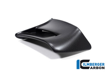 DUCATI Panigale V2 (2020-2024) Ilmberger Carbon Left Hand Side Winglet (Matt)
