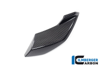 BMW S1000R Naked (2021-2024) Ilmberger Gloss Carbon Headlight Side Fairing Left Hand Side