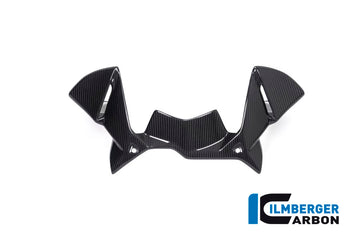 BMW R1250GS Adventure (2019-2023) Ilmberger Carbon Windprotector on the instruments