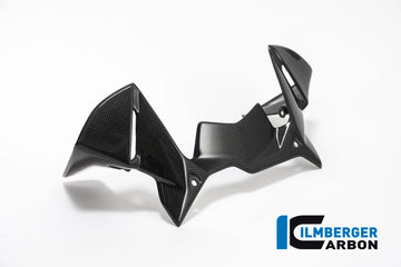 BMW R1200GS (2017-2018) Ilmberger Carbon Windprotector on the instruments