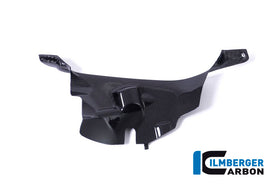 DUCATI Panigale V4 / S / R (2018-2024) Ilmberger Carbon Air Tube Cover (Right) - Gloss Finish - (V4 / S & R Models)