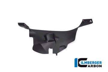 DUCATI Panigale V4 / S / R (2018-2024) Ilmberger Carbon Air Tube Cover (Right) - Matt Finish - (V4 / S & R Models)