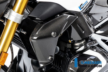 BMW R1250R (2019-2025) Ilmberger Carbon Watercooler Cover left Side