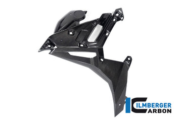 BMW M1000R Naked (2023-2024) Ilmberger Gloss Carbon Radiator Cover Left Side