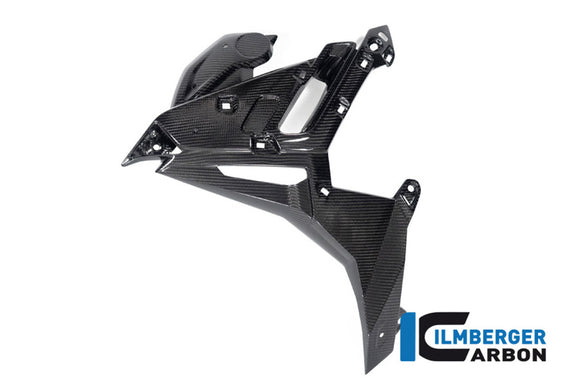 BMW M1000R Naked (2023-2024) Ilmberger Gloss Carbon Radiator Cover Left Side