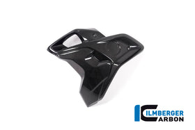 BMW R1250GS (2019-2023) Ilmberger Carbon Airtube - Including Flap (Left)